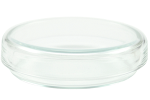 Petrieschale